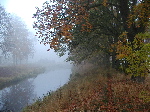 podzimn nlada u Volyky